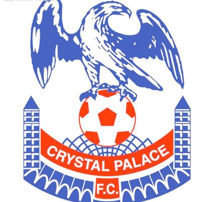 球迷中引发 球迷中引发